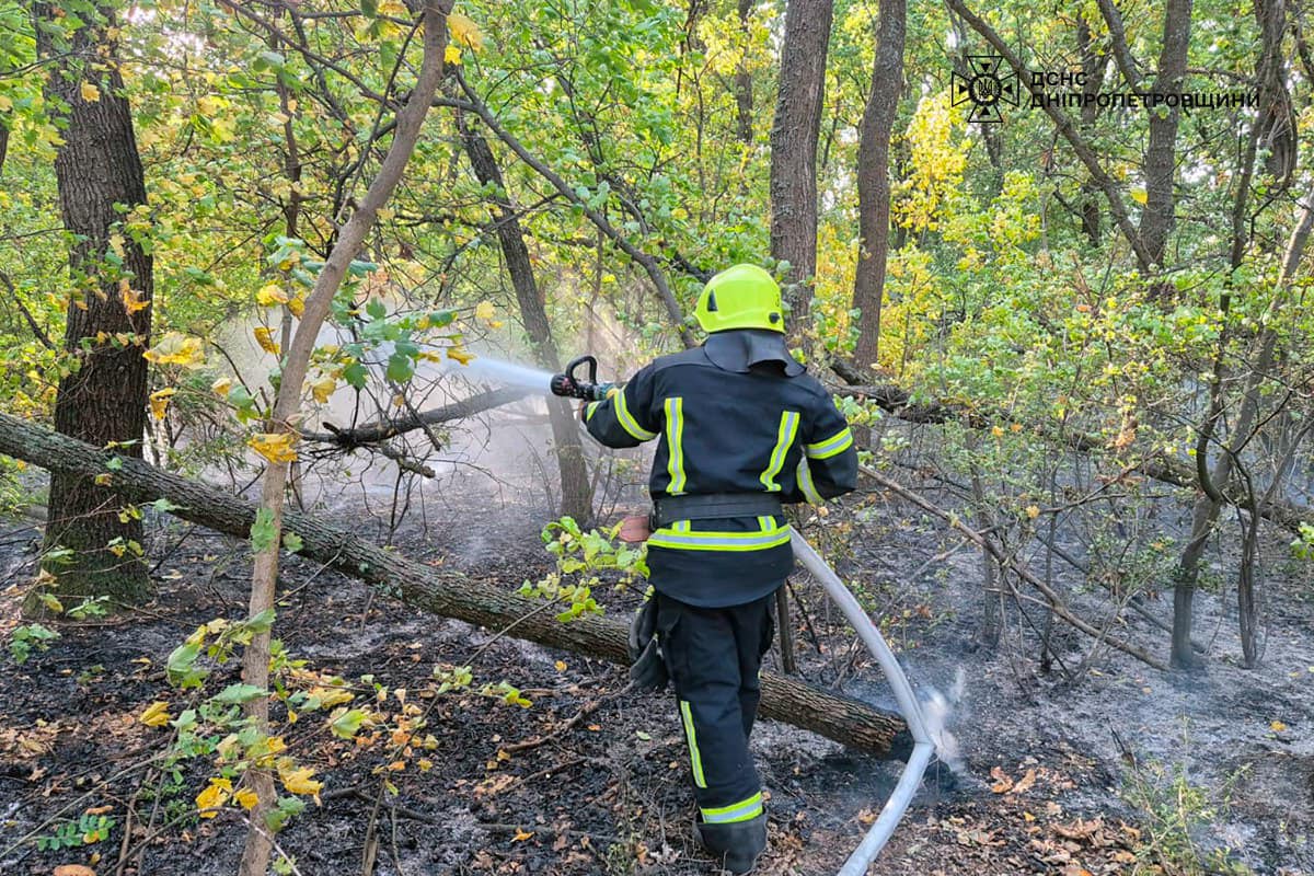 На Дніпропетровщині за добу вигоріло 70 га екосистем: фото