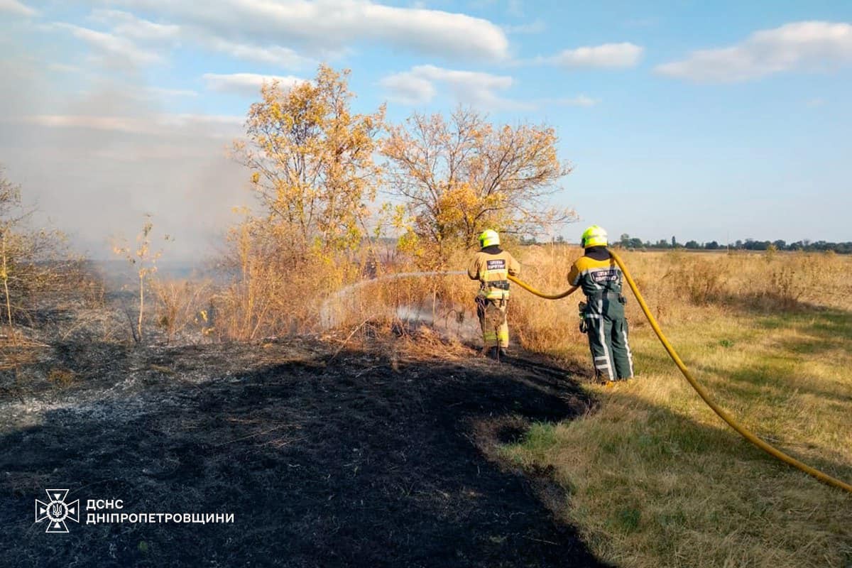 На Дніпропетровщині за добу вигоріло 54 га екосистем: фото