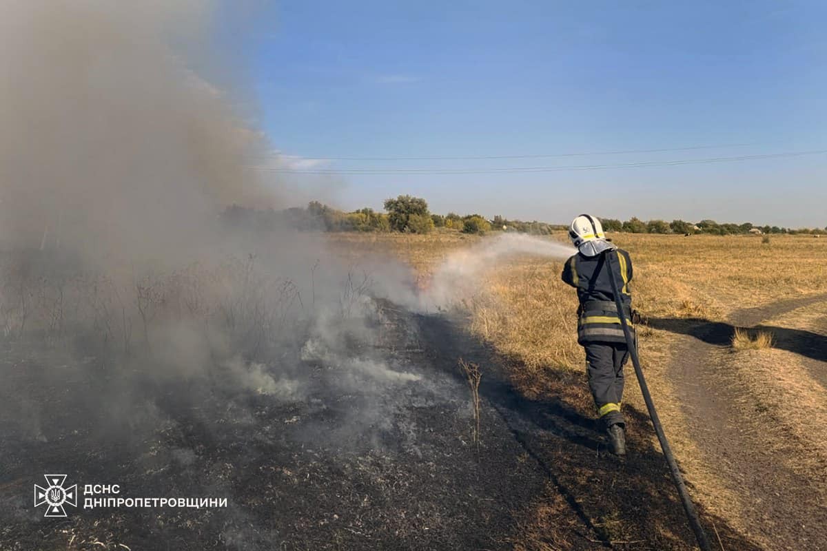 На Дніпропетровщині за добу ліквідували 97 пожеж в екосистемах: фото