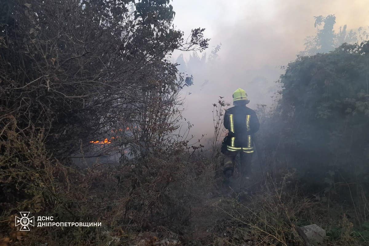 На Дніпропетровщині за добу ліквідували 97 пожеж в екосистемах: фото