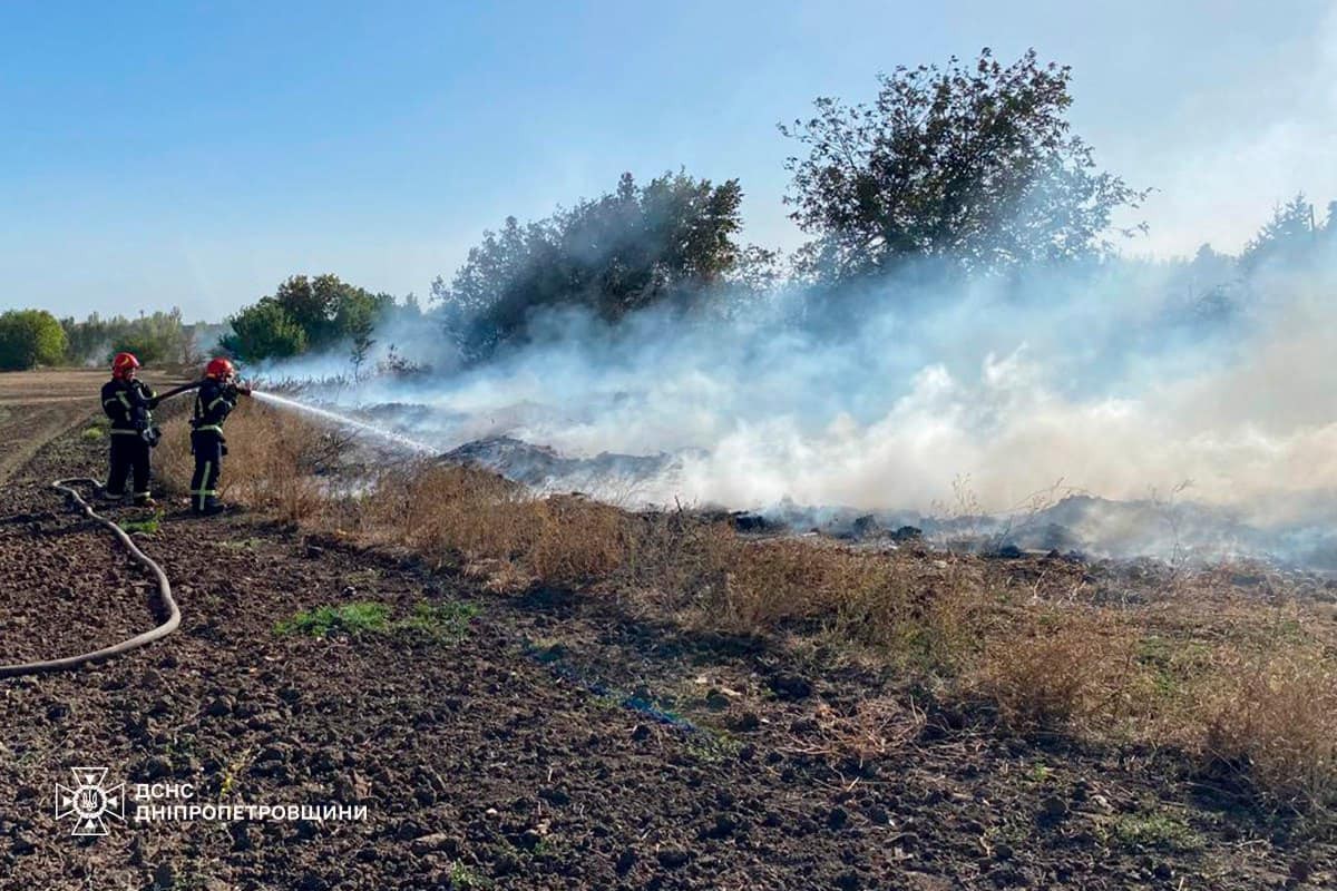 На Дніпропетровщині за добу вигоріло 60 га екосистем: фото