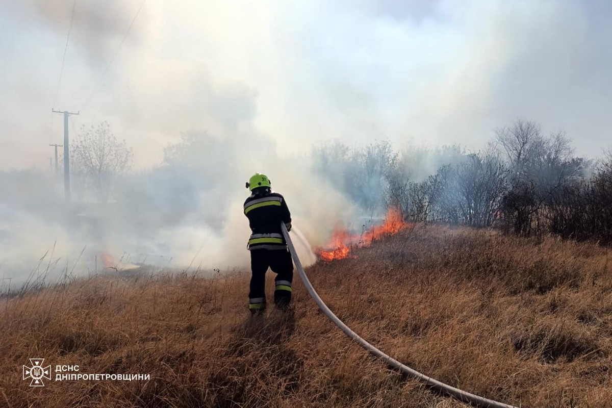 На Дніпропетровщині за добу вигоріло 73 га екосистем (фото)