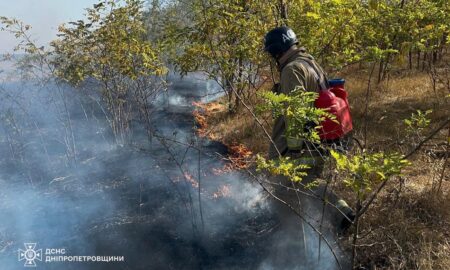 На Дніпропетровщині за добу вигоріло 62 га екосистем (фото)