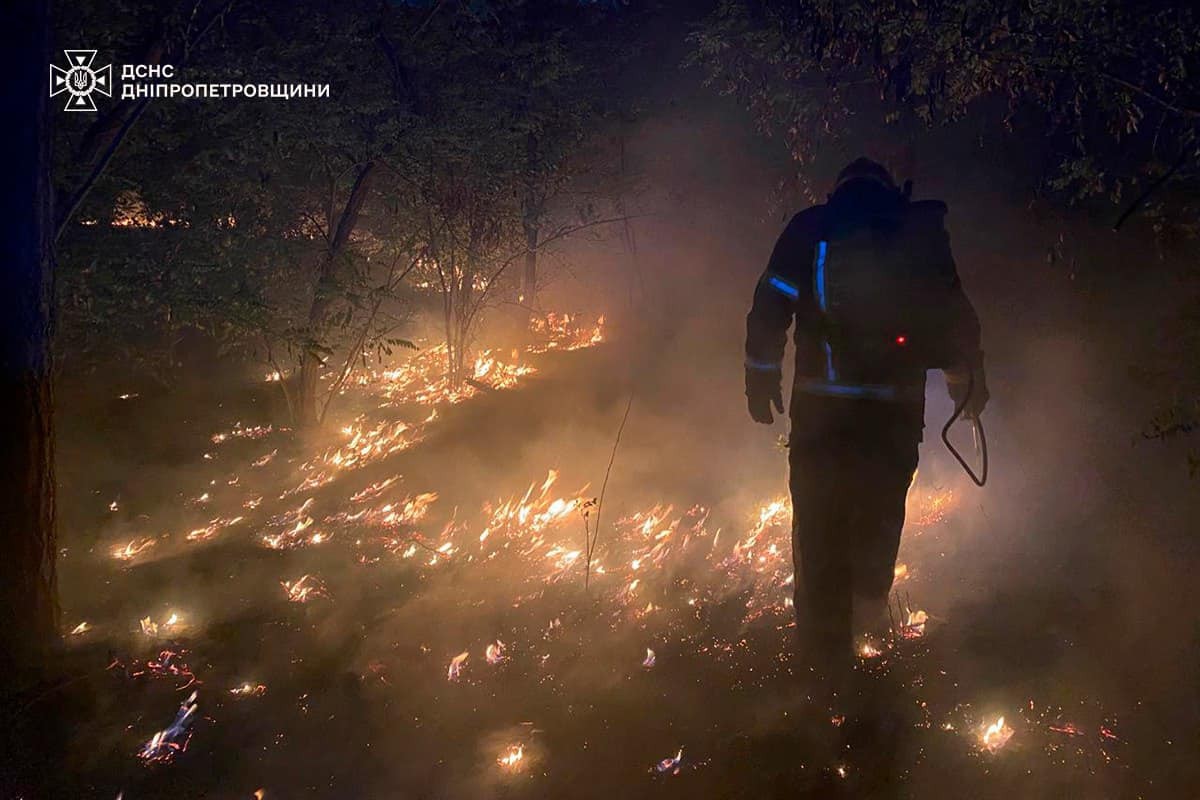 На Дніпропетровщині за добу вигоріло 60 га екосистем: фото