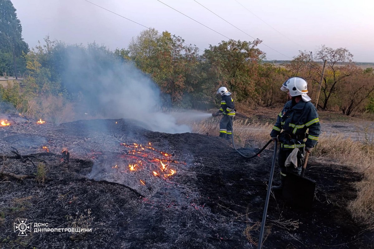 На Дніпропетровщині за добу вигоріло 73 га екосистем (фото)