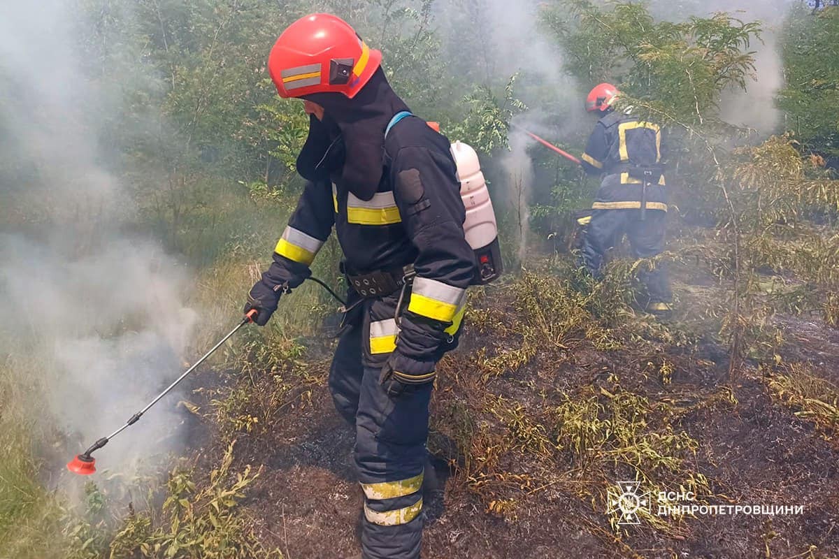 На Дніпропетровщині за добу вигоріло 54 га екосистем: фото