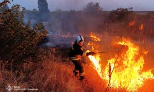 На Дніпропетровщині за добу вигоріло 73 га екосистем (фото)