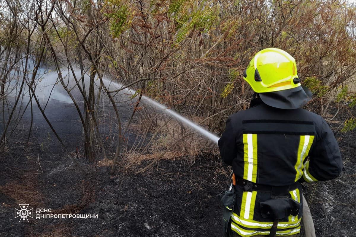 На Дніпропетровщині за добу ліквідували 97 пожеж в екосистемах: фото