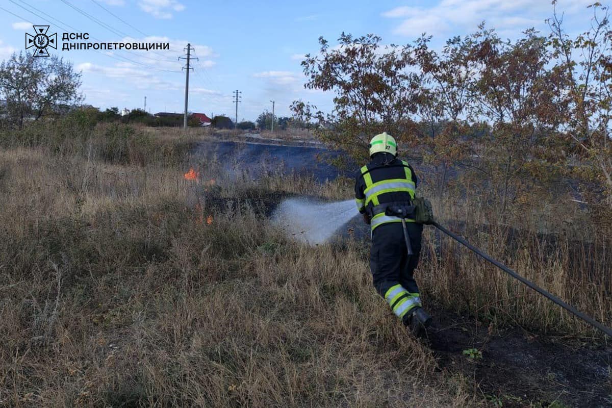 На Дніпропетровщині за добу вигоріло понад 10 га екосистем: фото