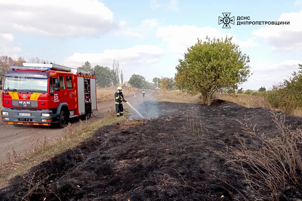 На Дніпропетровщині за добу вигоріло понад 10 га екосистем: фото