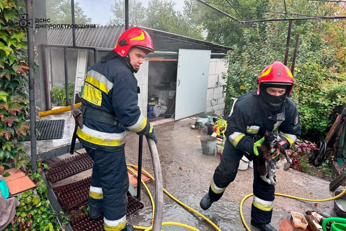 У Дніпрі з палаючого будинку врятували котика (фото)