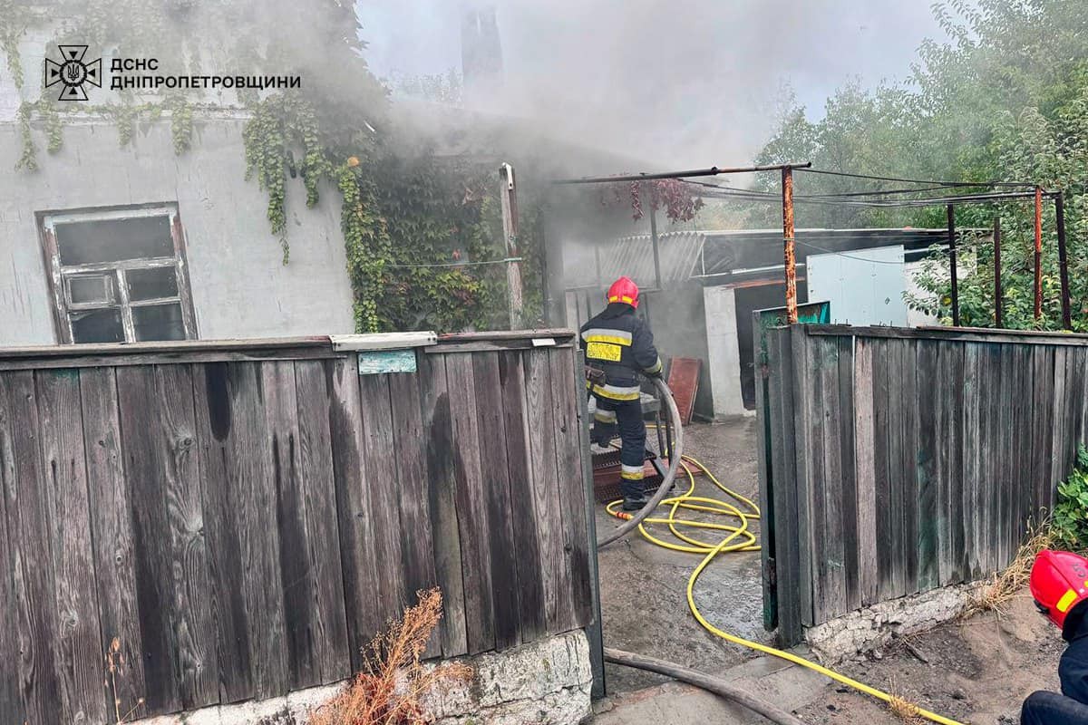 У Дніпрі з палаючого будинку врятували котика (фото)