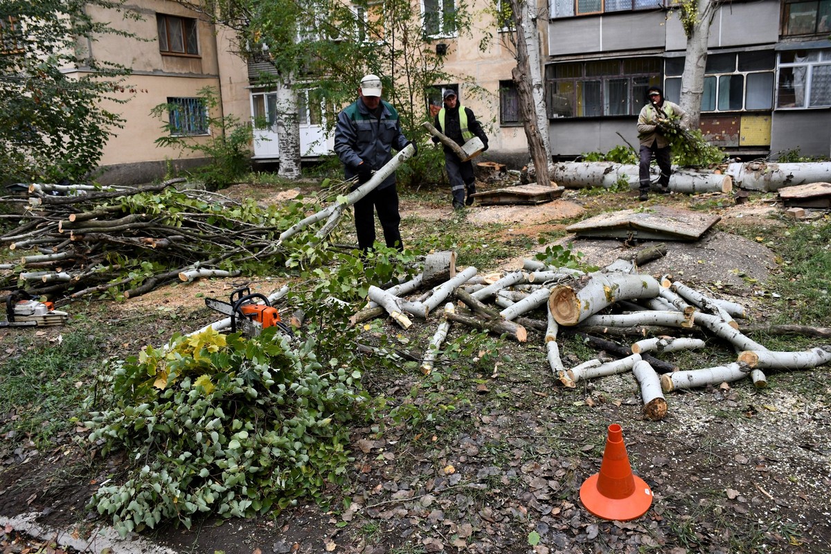 «Ці роботи символізують надію на краще»: у обстріляному Нікополі підрізають троянди, збирають листя, косять траву