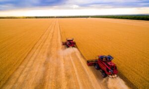 Мешканці Нікополя, які прихистили ВПО, можуть звернутися за компенсацією: адреса і контакти