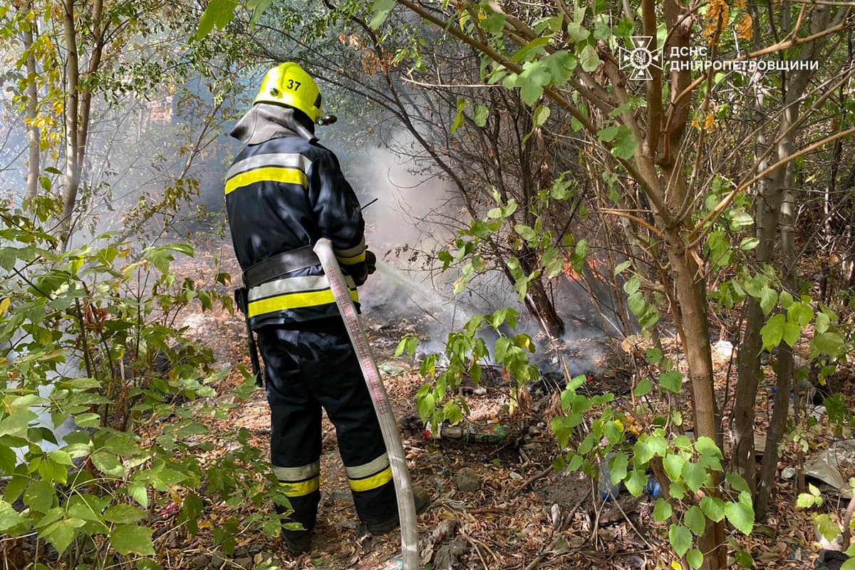 На Дніпропетровщині за добу вигоріло 46 га екосистем (фото)