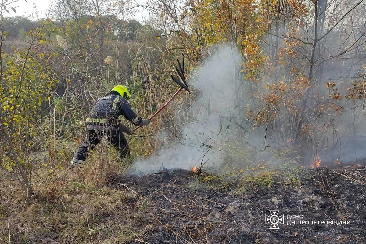 На Дніпропетровщині за добу вигоріло 46 га екосистем (фото) 2