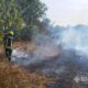 На Дніпропетровщині за добу вигоріло понад 46 га екосистем (фото) 36 На Дніпропетровщині за добу вигоріло 46 га екосистем (фото) 3