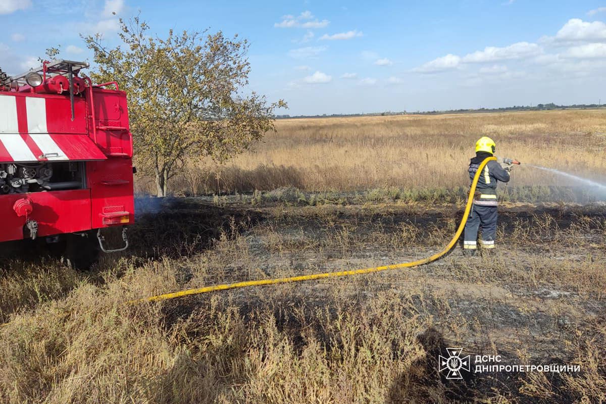 На Дніпропетровщині за добу вигоріло 46 га екосистем (фото) 5