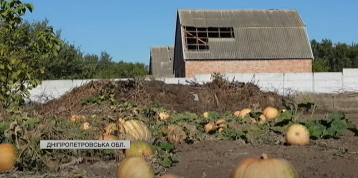 як мешканці Нікополя та району ліквідовують наслідки обстрілів 2