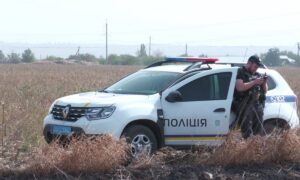 Ще два дні тому тут була лісопосадка, а сьогодні випалена пустеля: на Нікопольщині невідомі знищують дерева