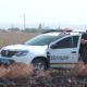 Ще два дні тому тут була лісопосадка, а сьогодні випалена пустеля: на Нікопольщині невідомі знищують дерева 20 Ще два дні тому тут була лісопосадка, а сьогодні випалена пустеля: на Нікопольщині невідомі знищують дерева