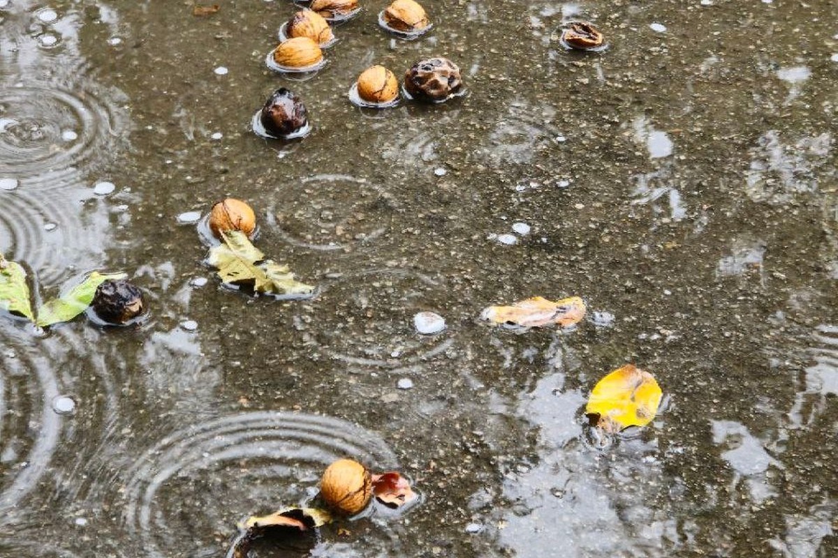 Очікується сильний дощ: погода у Нікополі 13 жовтня