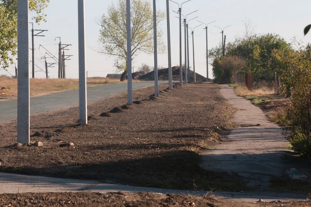 У Червоногригорівській громаді висадили дерева декоративної шовковиці (фото) 1 У Червоногригорівській громаді висадили дерева декоративної шовковиці (фото)