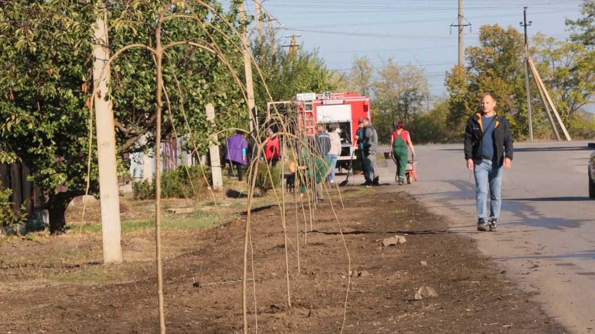 У Червоногригорівській громаді висадили дерева декоративної шовковиці