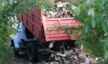 Благодійники роздали дрова мешканцям Червоногригорівської громади