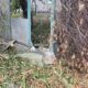 Окупанти обстріляли приватний сектор Нікополя і атакували Марганецьку громаду (фото) 46 Окупанти обстріляли приватний сектор Нікополя і атакували Марганецьку громаду (фото)