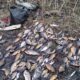 У Нікополі судили рибалку, який витягнув із Каховського водосховища 94 рибини – як його покарали 4 У Нікополі судили рибалку, який витягнув із Каховського водосховища 94 рибини – як його покарали