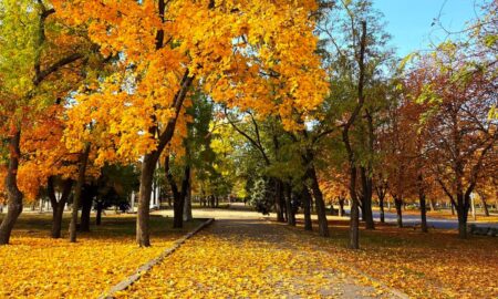 погода у Нікополі 1 листопада