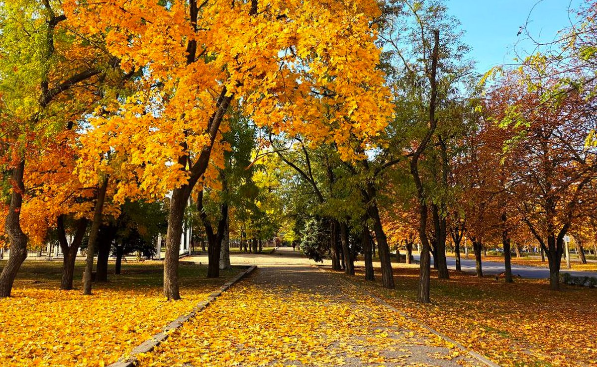 Похмуро і без опадів: погода у Нікополі 1 листопада 1 погода у Нікополі 1 листопада