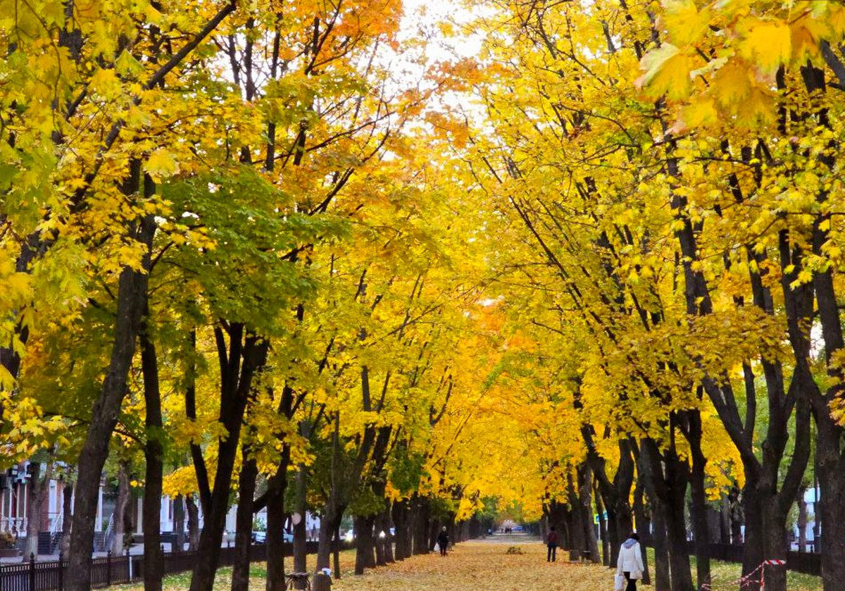 Хмарно і без опадів: погода у Нікополі 28 жовтня 1 погода у Нікополі 28 жовтня