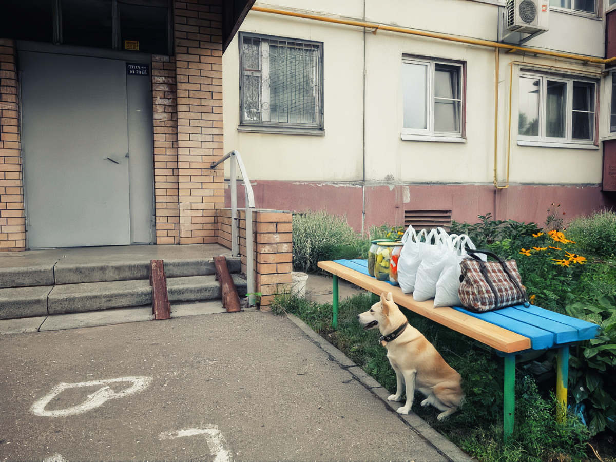 «Ставлять на лавочку пакетик, бо вже знають, що я тут живу»: непомітні волонтери Нікополя – хто вони 1 «Ставлять на лавочку пакетик, бо вже знають, що я тут живу»: непомітні волонтери Нікополя – хто вони