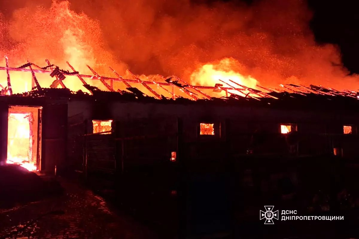 Масштабна пожежа під Дніпром: понад 140 свійських тварин загинули на конефермі 1 Масштабна пожежа під Дніпром: понад 140 свійських тварин загинули на конефермі