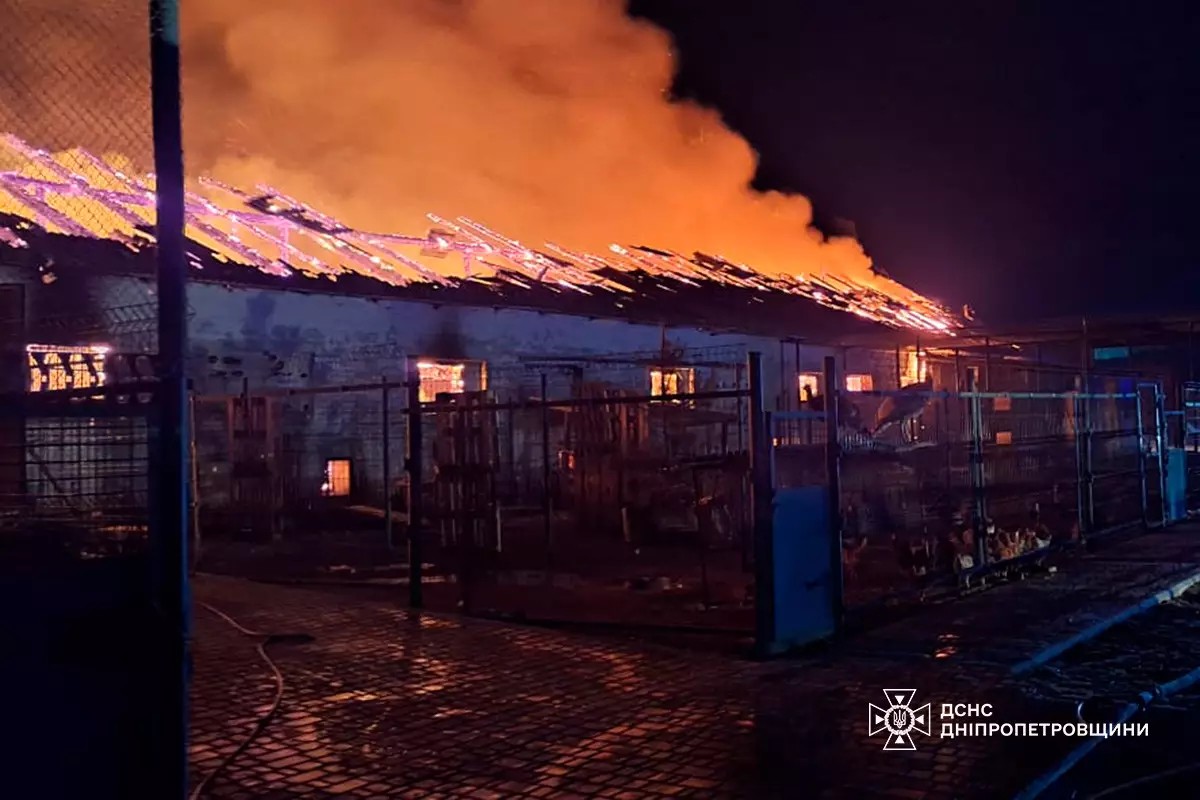 Масштабна пожежа під Дніпром: понад 140 свійських тварин загинули на конефермі