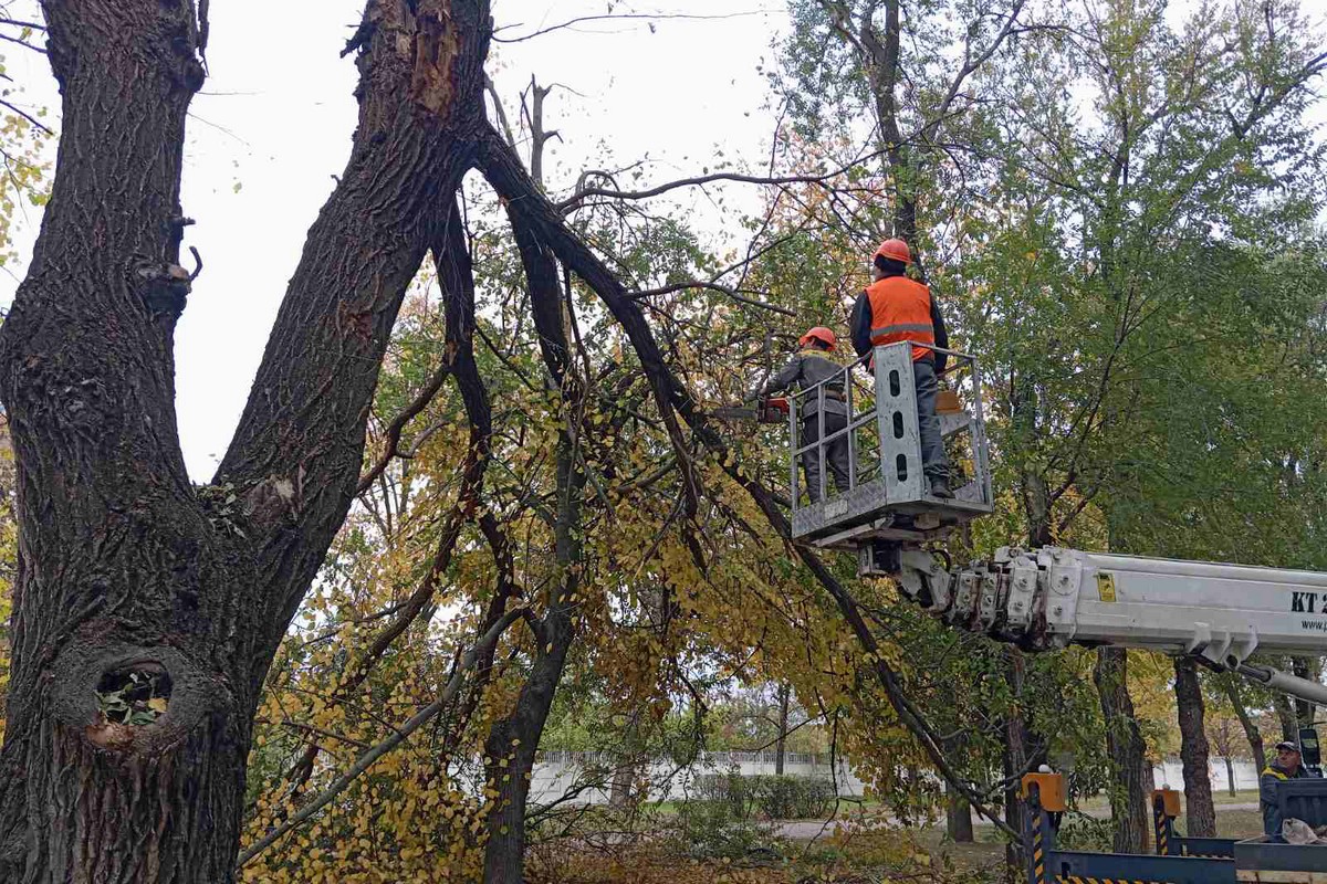 Вибоїна від снаряду на дорозі, понівечені дерева – у Нікополі комунальники усувають наслідки атак і займаються благоустроєм