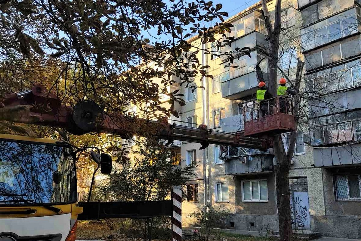 Комунальники Нікополя прибирають уламки, гілки дерев та опале листя (фото)