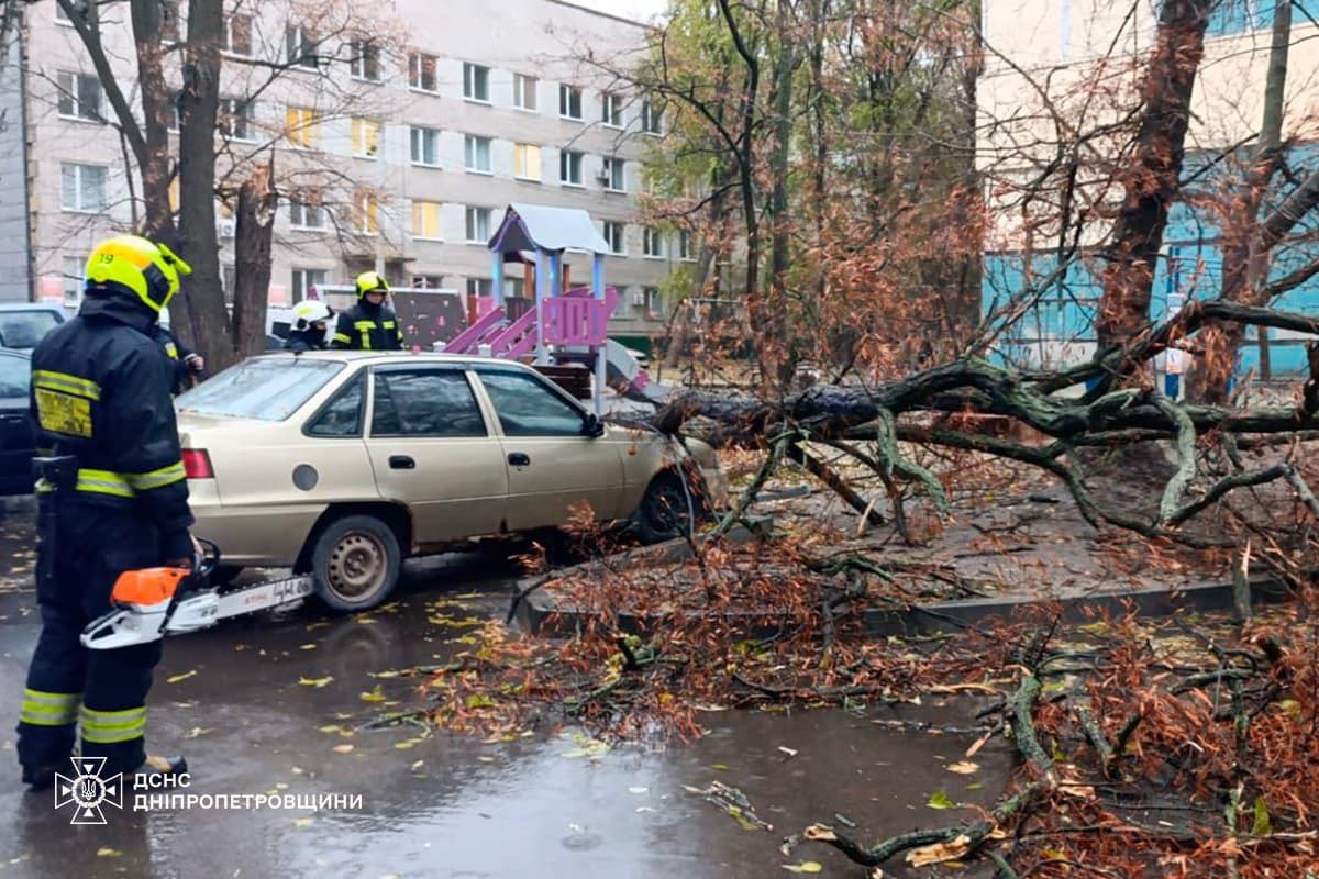 На Дніпропетровщині рятувальники усувають наслідки негоди: фото