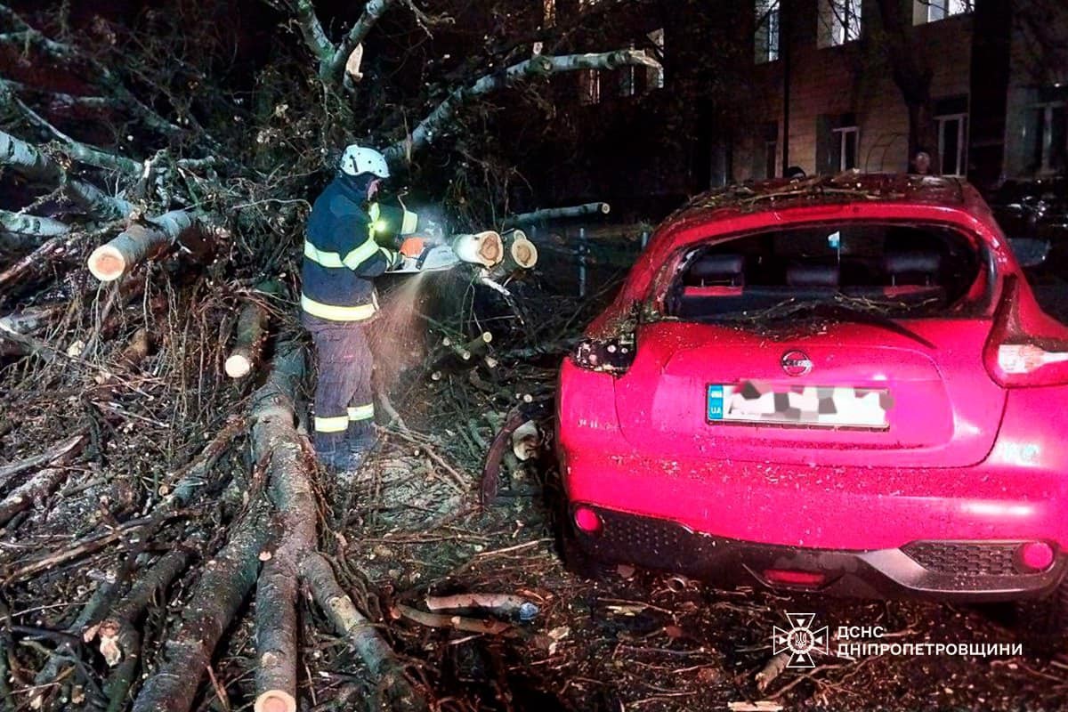 На Дніпропетровщині рятувальники усувають наслідки негоди: фото