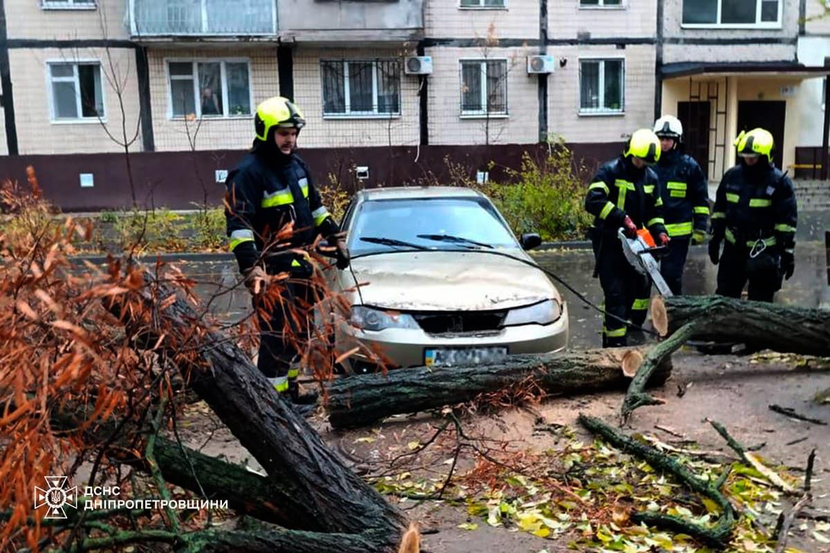 На Дніпропетровщині рятувальники усувають наслідки негоди: фото