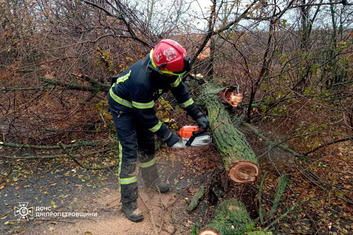 На Дніпропетровщині рятувальники усувають наслідки негоди: фото