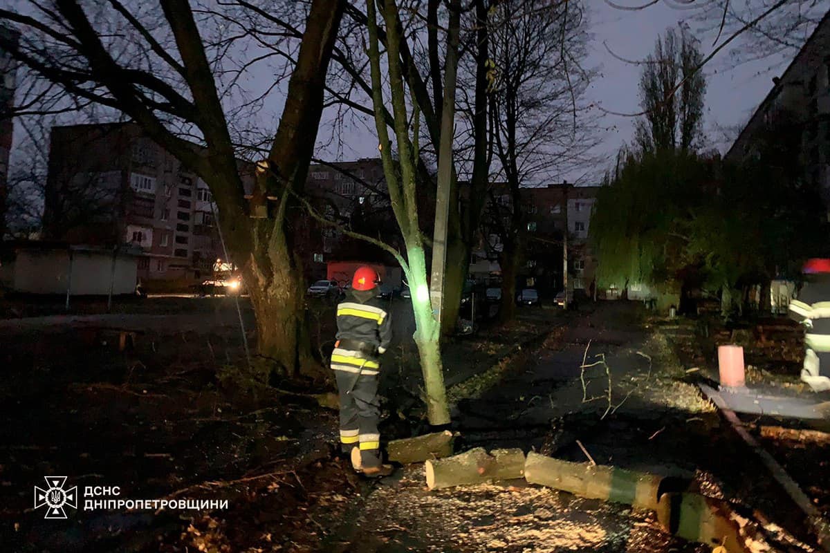 На Дніпропетровщині рятувальники усувають наслідки негоди: фото