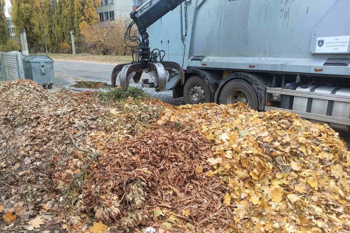 У Нікополі комунальники зносять аварійні дерева, згрібають опале листя, обрізають сухе гілля