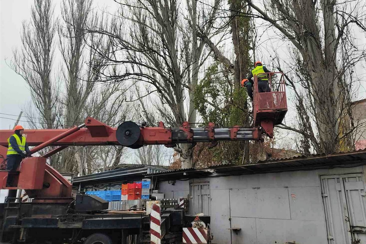 У Нікополі комунальники зносять аварійні дерева, згрібають опале листя, обрізають сухе гілля