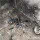 Двоє підлітків з Нікополя викрали мопед і спалили його 18 Двоє підлітків з Нікополя викрали мопед і спалили його 2