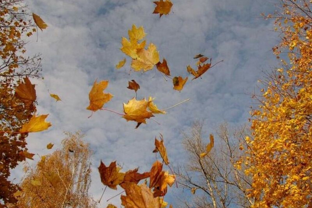 Мешканців Дніпропетровщини попередили про небезпечне метеорологічне явище 20 листопада 1 Мешканців Дніпропетровщини попередили про небезпечне метеорологічне явище 20 листопада