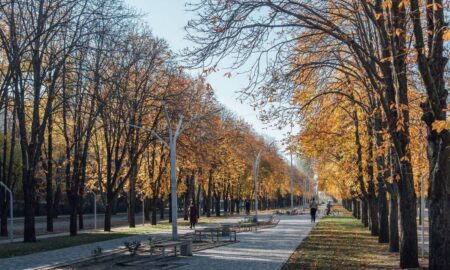 Як на Дніпропетровщині пройшла ніч 16 листопада, розповіли очільники області 2