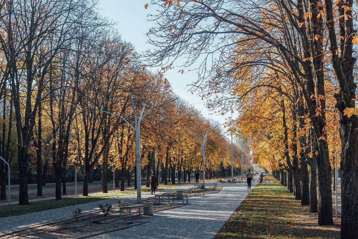 Як на Дніпропетровщині пройшла ніч 16 листопада, розповіли очільники області 2